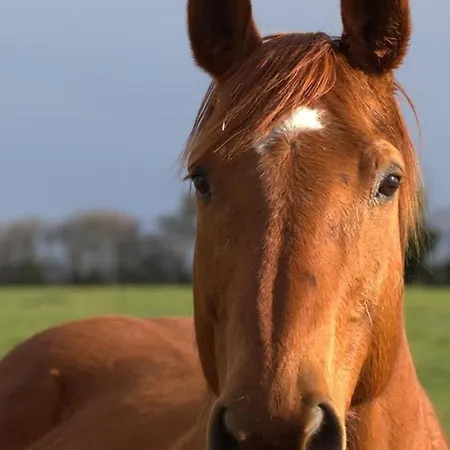 Sejour Nature Et Charme, Animaux Bienvenus, Parking Et Wifi Inclus - Fr-1-489-560 Дом отдыха Saint-Bonnet-de-Four