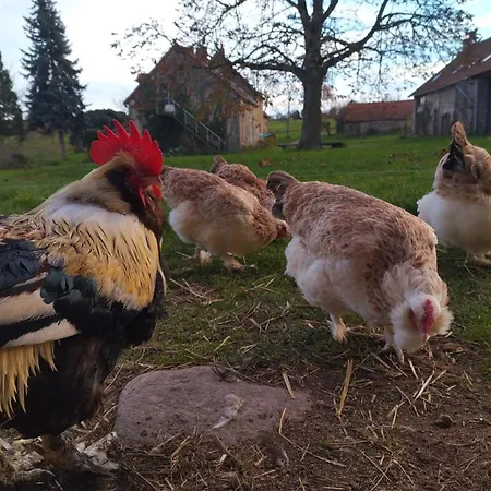 Authentique à La Campagne - 2 Pers - Animaux Bienvenus - Fr-1-489-560 Saint-Bonnet-de-Four