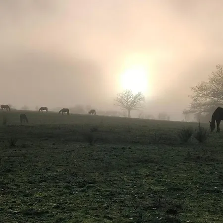 Sejour Nature Et Charme, Animaux Bienvenus, Parking Et Wifi Inclus - Fr-1-489-560 Дом отдыха *