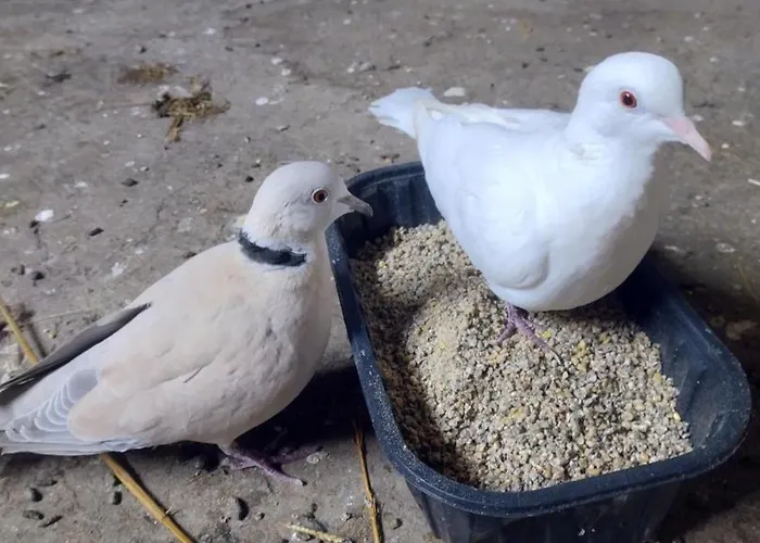 Дом отдыха Sejour Nature Et Charme, Animaux Bienvenus, Parking Et Wifi Inclus - Fr-1-489-560 Saint-Bonnet-de-Four