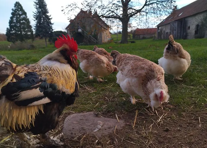 Sejour Nature Et Charme, Animaux Bienvenus, Parking Et Wifi Inclus - Fr-1-489-560 Saint-Bonnet-de-Four