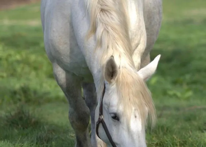 Дом отдыха Sejour Nature Et Charme, Animaux Bienvenus, Parking Et Wifi Inclus - Fr-1-489-560 Saint-Bonnet-de-Four