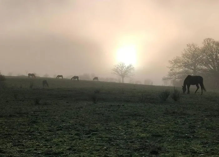 Sejour Nature Et Charme, Animaux Bienvenus, Parking Et Wifi Inclus - Fr-1-489-560 Дом отдыха *